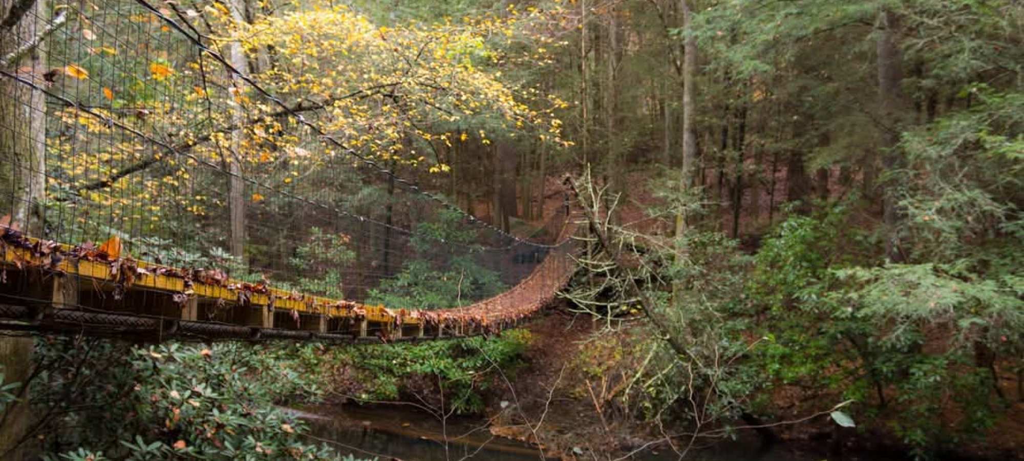 Suspension bridge over a tranquil river in a forest with autumn leaves.