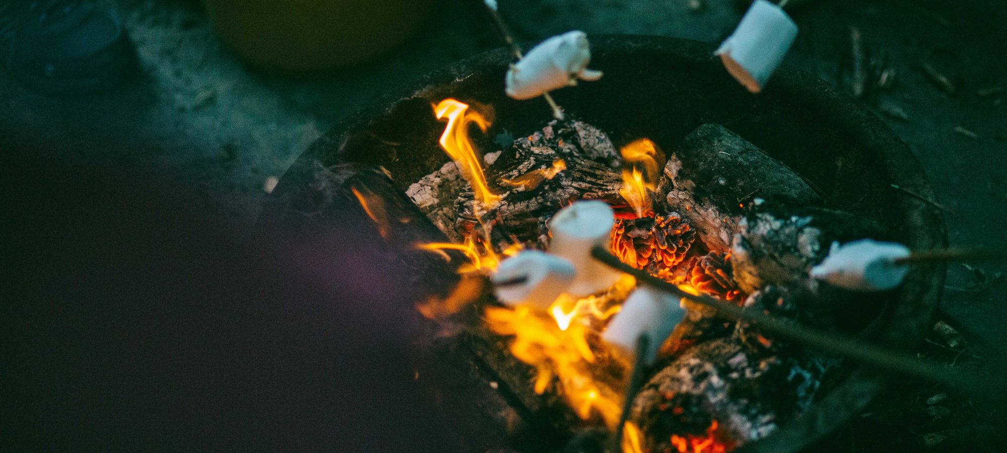 Marshmallows roasting on a small campfire at dusk.