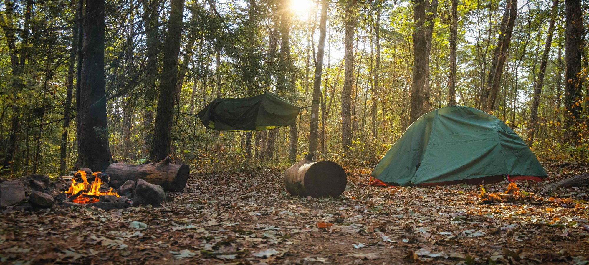 Sunlight filters through trees at a campsite with a tent and a suspended hammock.