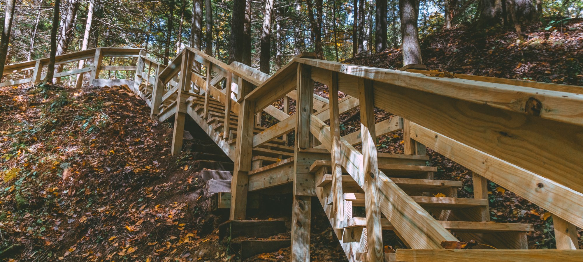 Wooden staircase in a forest with autumn leaves.
