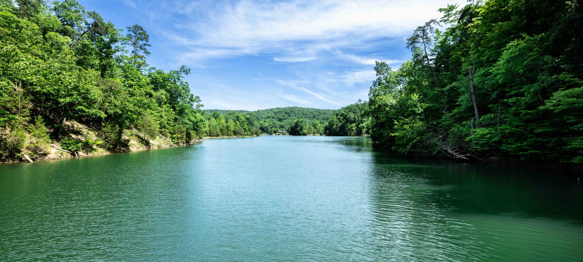Serene river flanked by lush green forests under a clear blue sky.