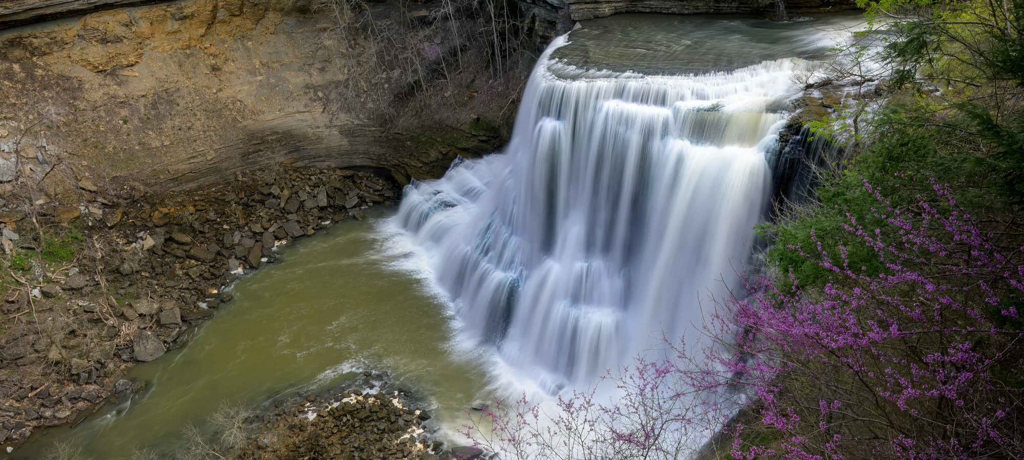 Lush waterfall cascading into a rocky basin, surrounded by blooming purple flowers.