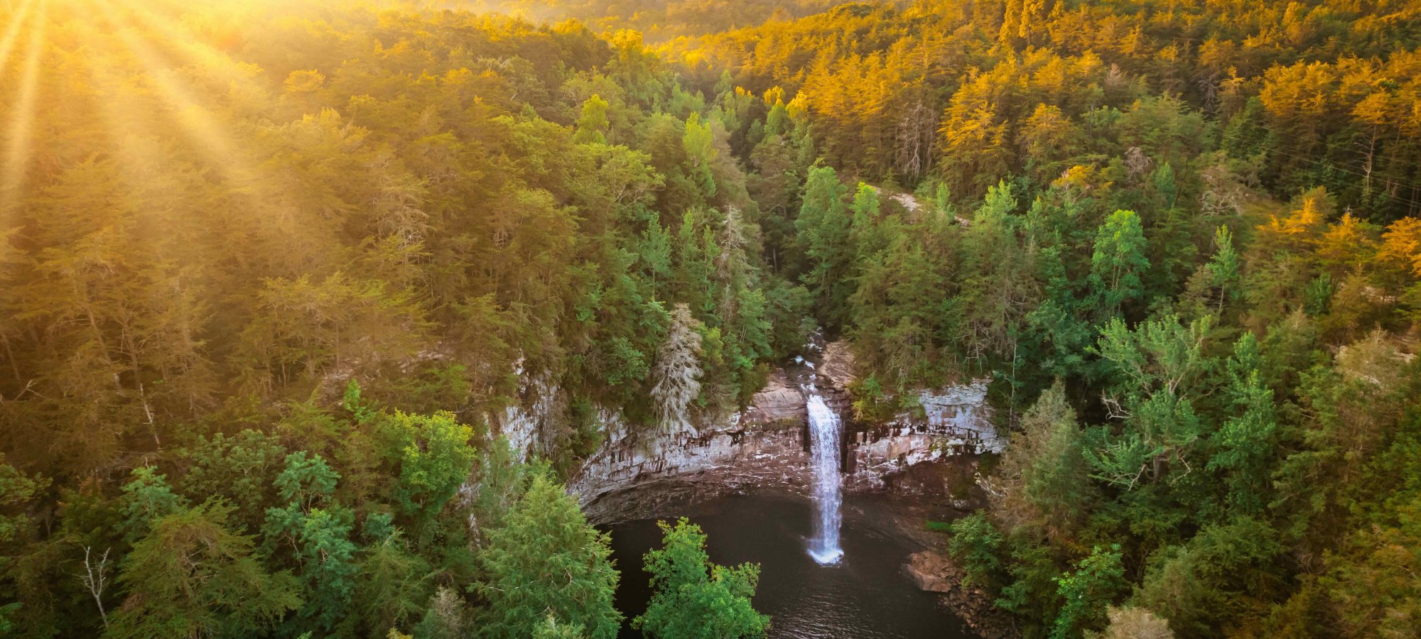 Sunrise over a forest with a waterfall flowing into a serene pond.