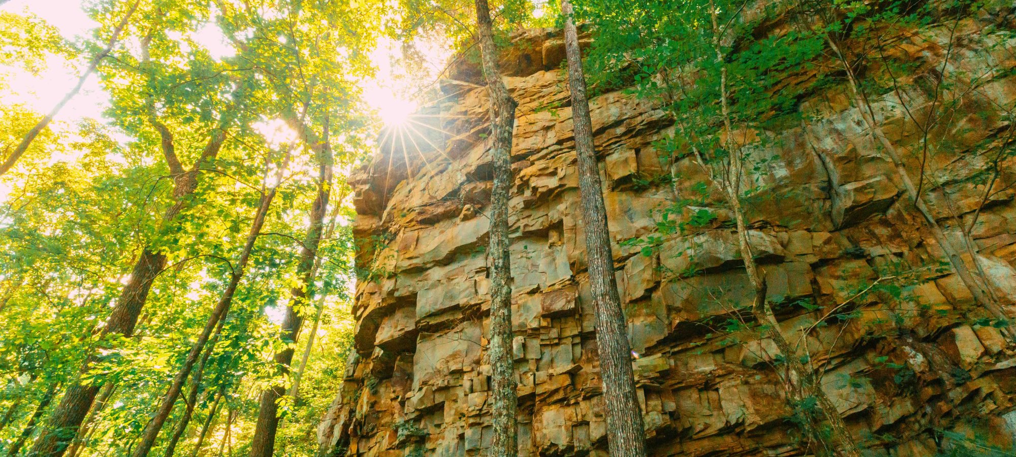 Sunlight peeking through lush trees over a jagged cliff.