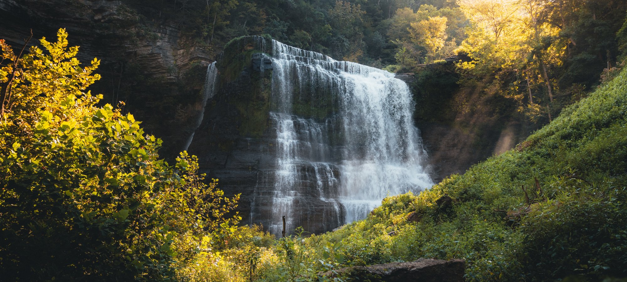 Waterfall in a sunlit forest, surrounded by lush greenery.