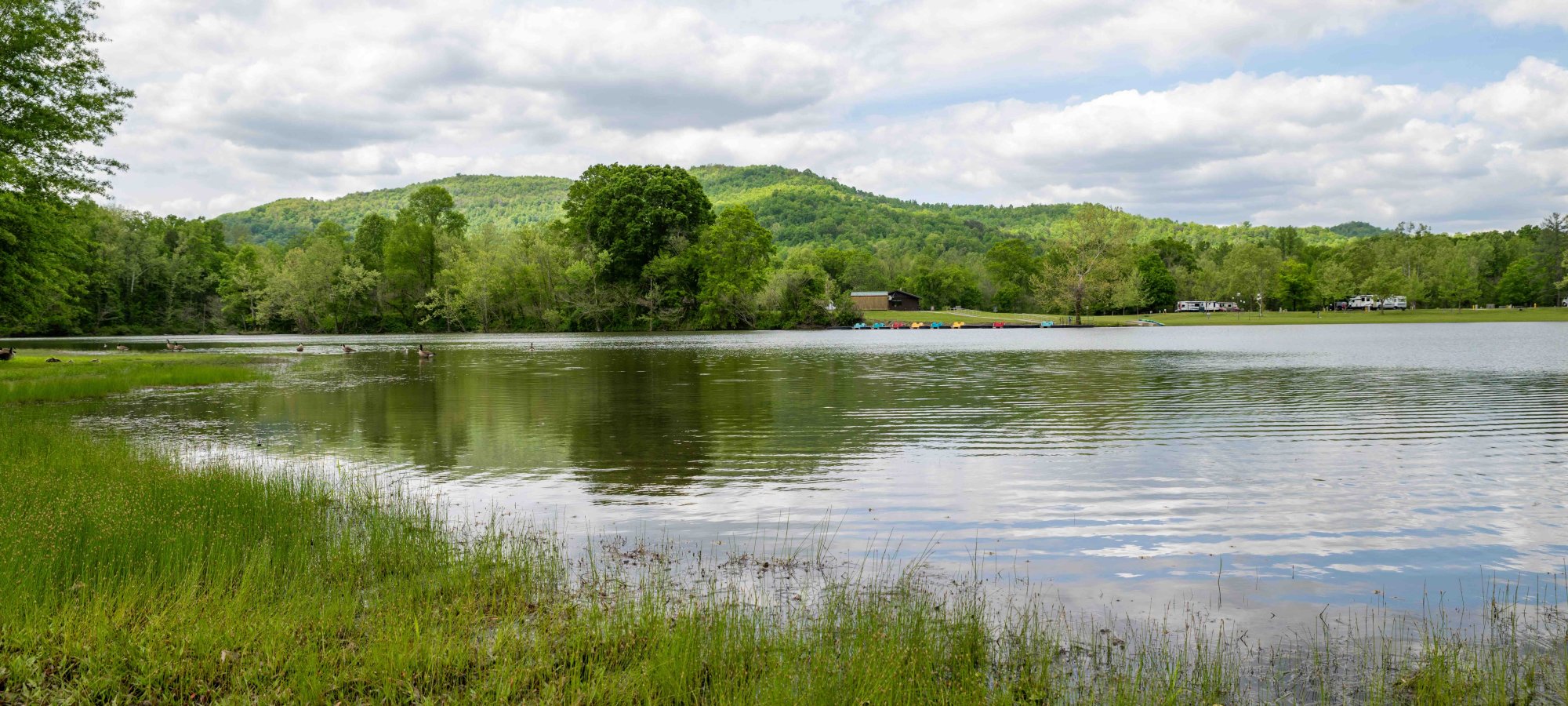 Serene lake scene with lush greenery and cloudy skies.