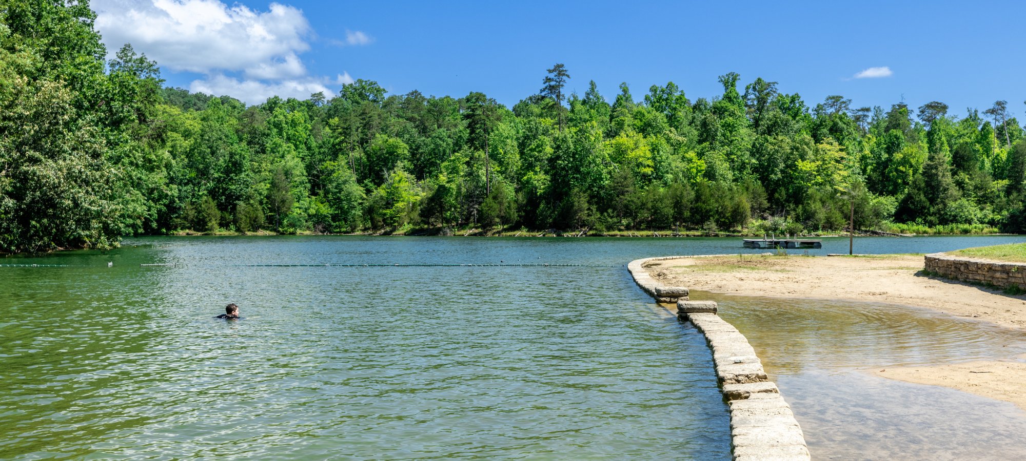 Calm lake with trees, a swimmer, and a stone path under a clear blue sky.