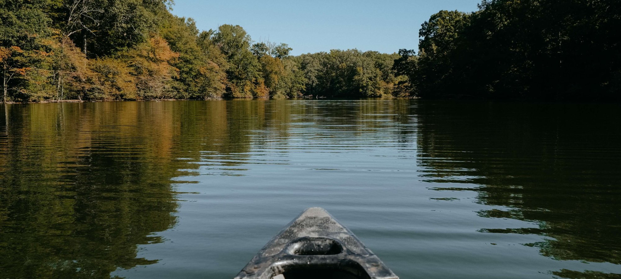 View from a kayak on a calm river surrounded by lush trees.