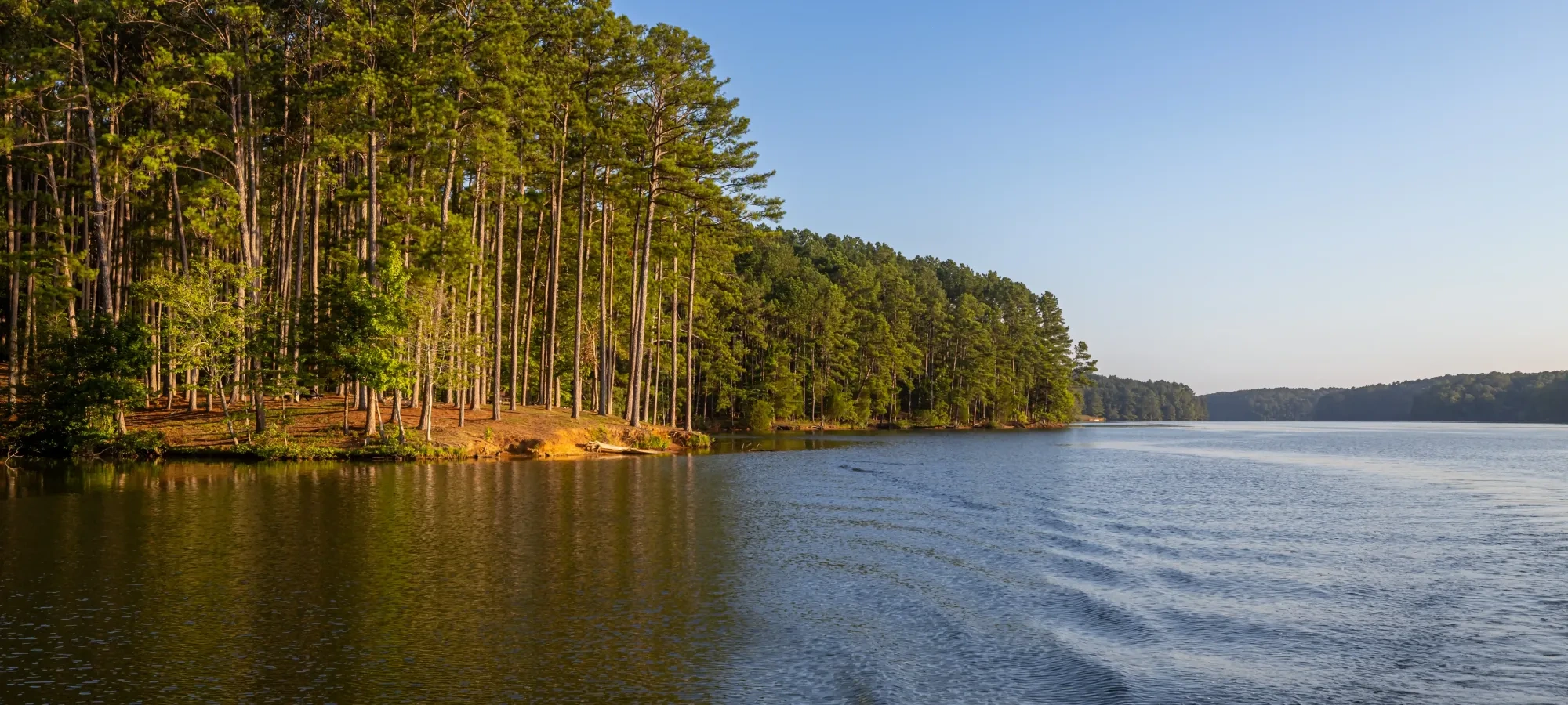 Sunlit lake with tree-lined shores and gentle ripples.