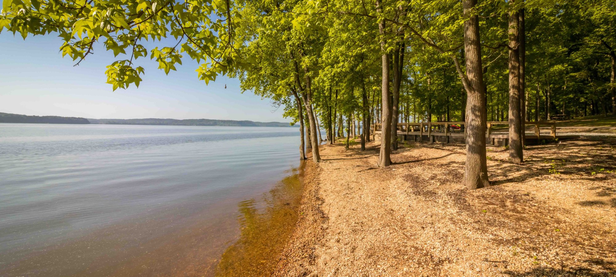 Tranquil lake shore lined with green trees under a clear blue sky.