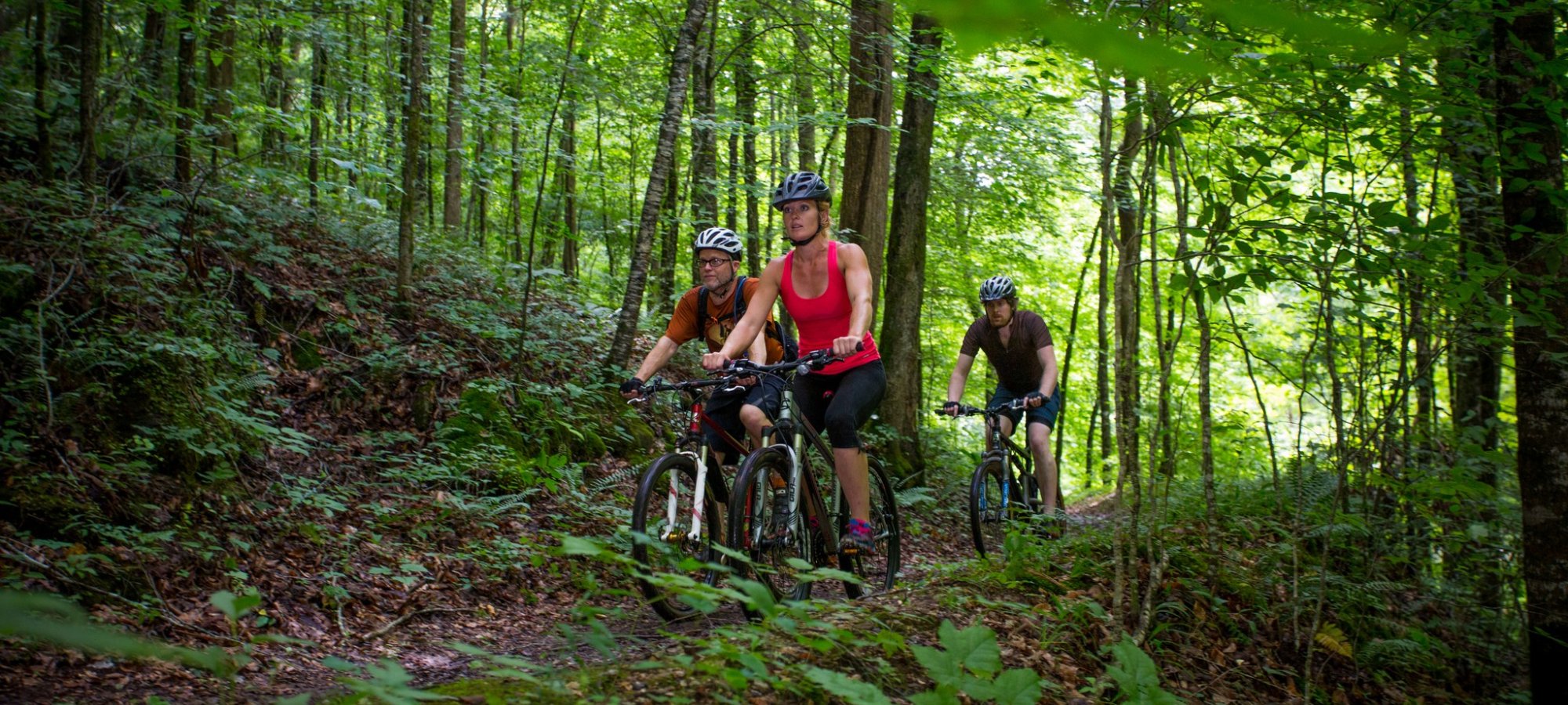 A group of mountain bikers biking on a natural trail in a forest