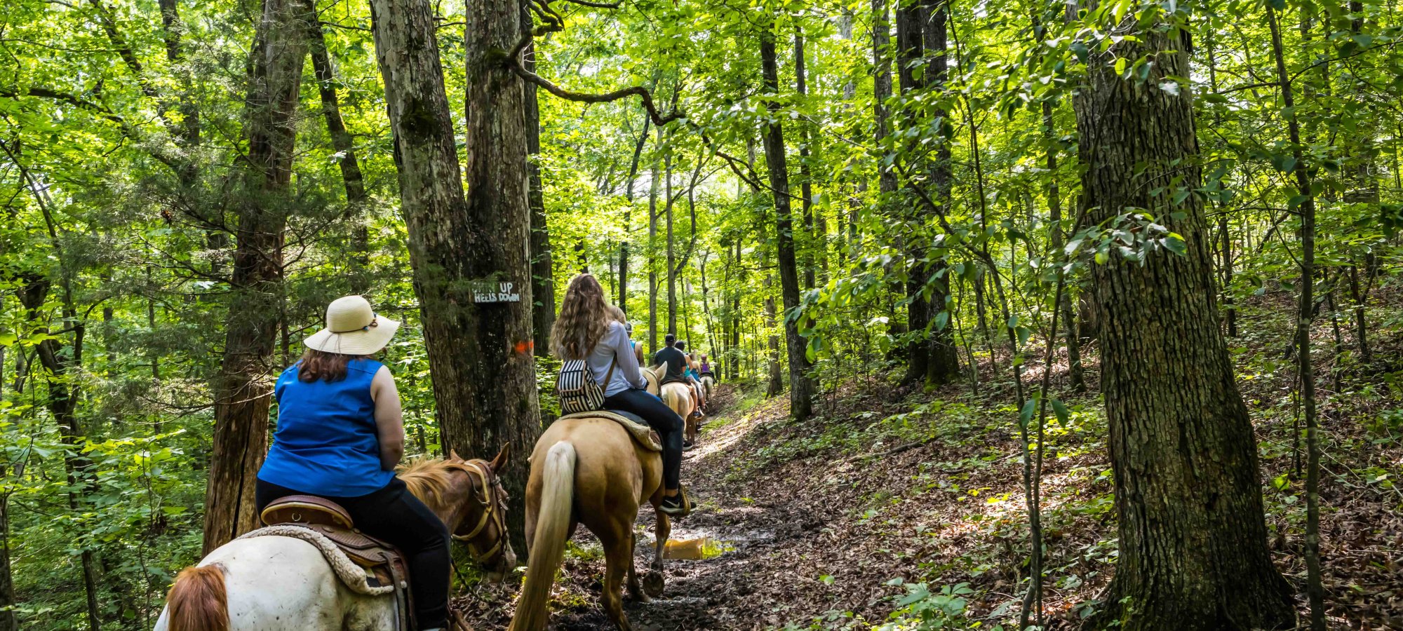 two girls riding on horseback in a forest on a sunny day.