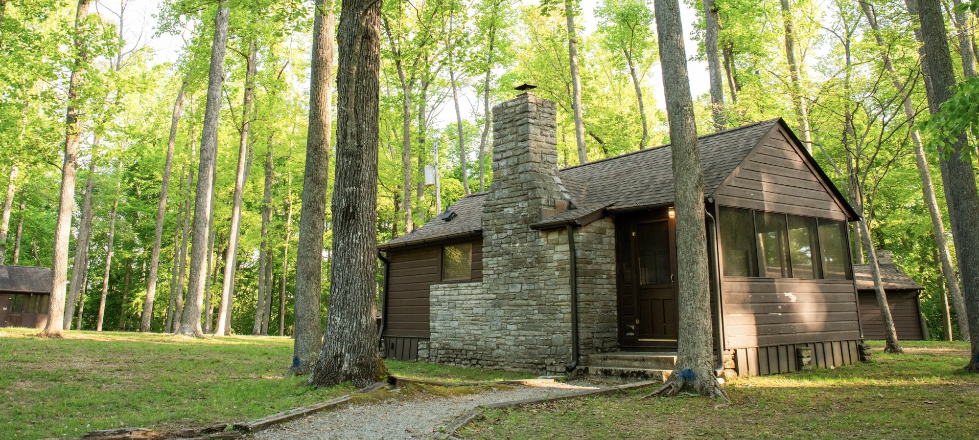 Stone cabin surrounded by trees in a lush forest setting.