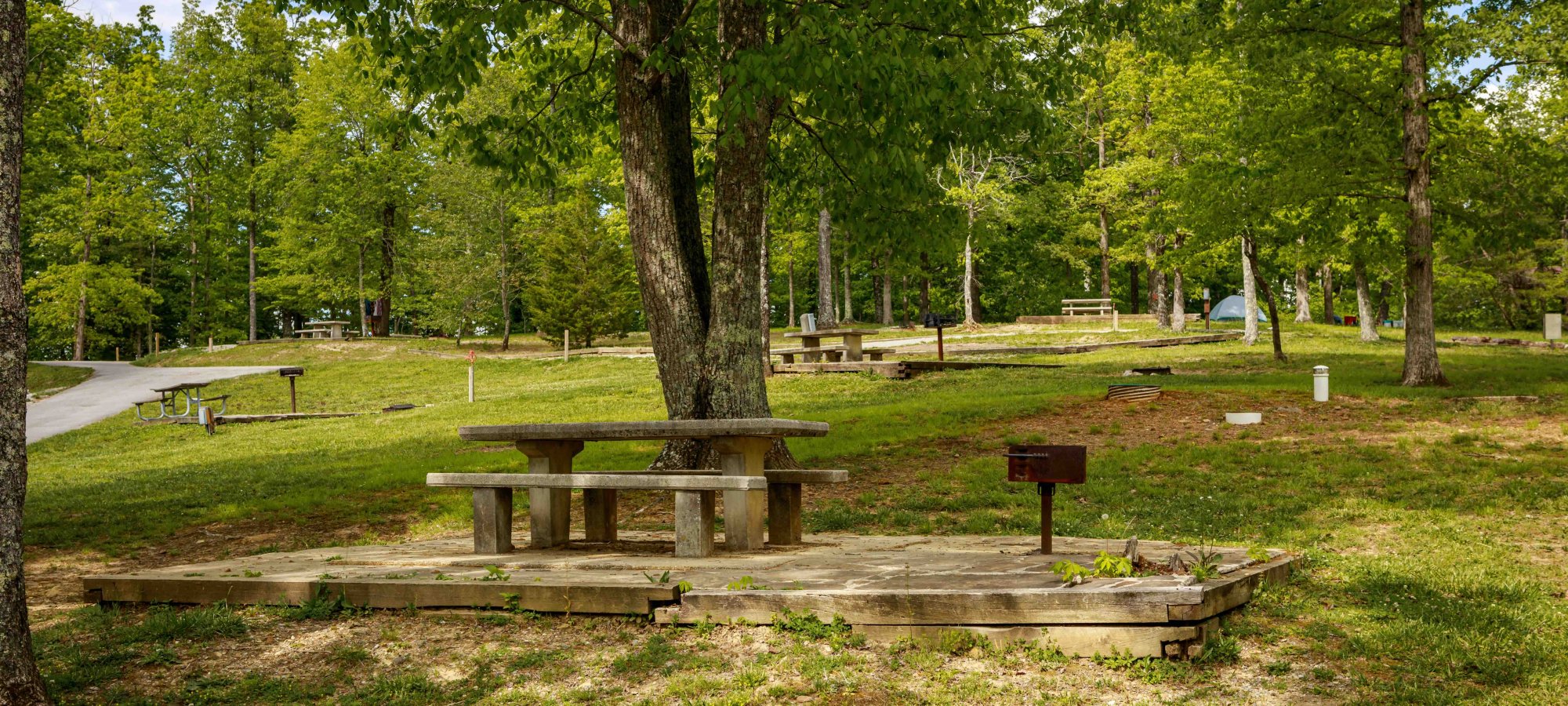 Wooden picnic table and grill in a serene park with lush trees.