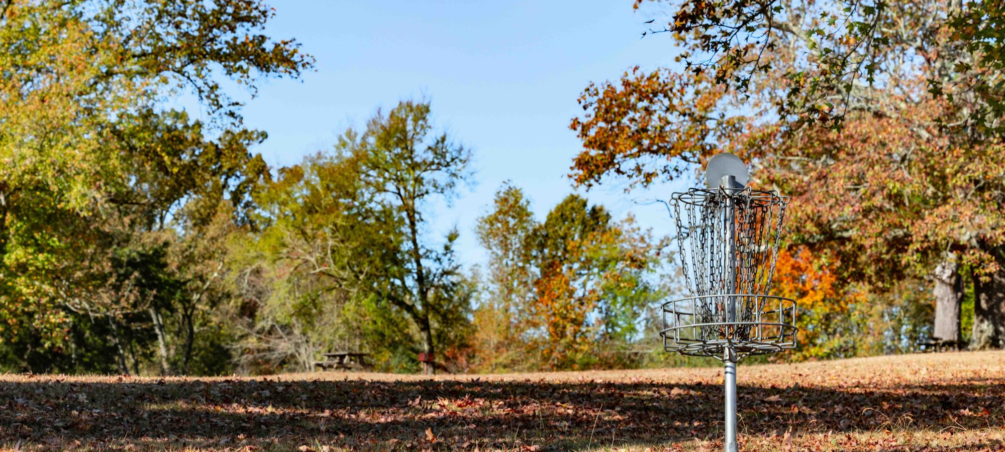 Autumn park scene with a disc golf basket amid colorful trees.