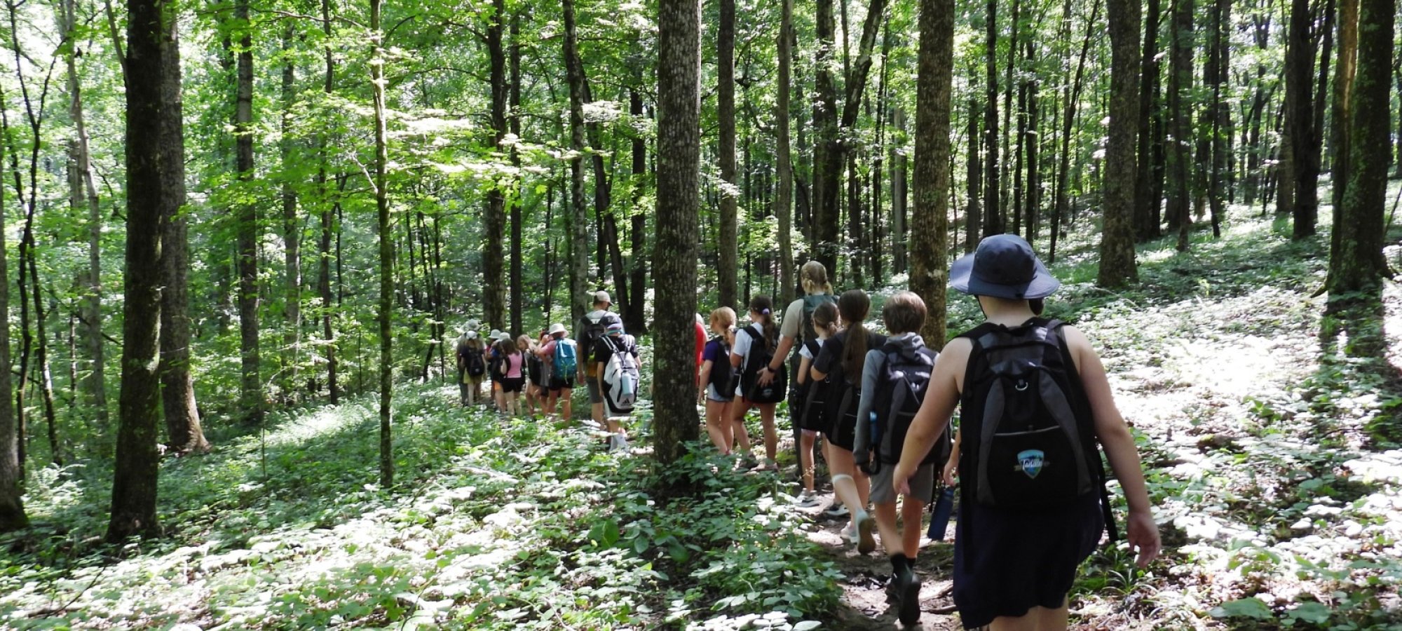 group of people walking in a line on a trail in a forest