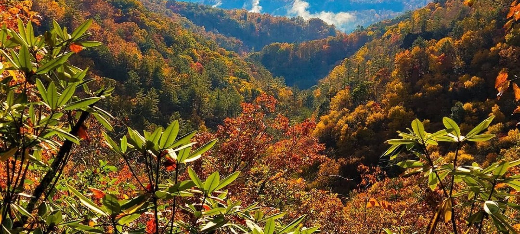 Autumn foliage blankets a mountain valley under a blue sky.