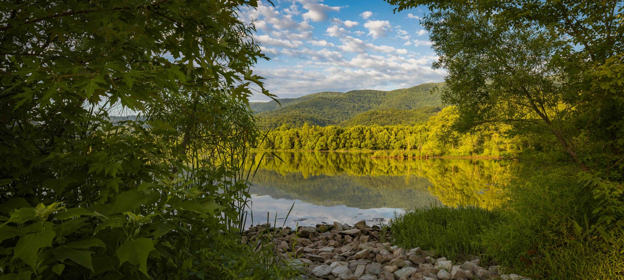 Sunny lakeside view framed by lush greenery and reflected mountains.