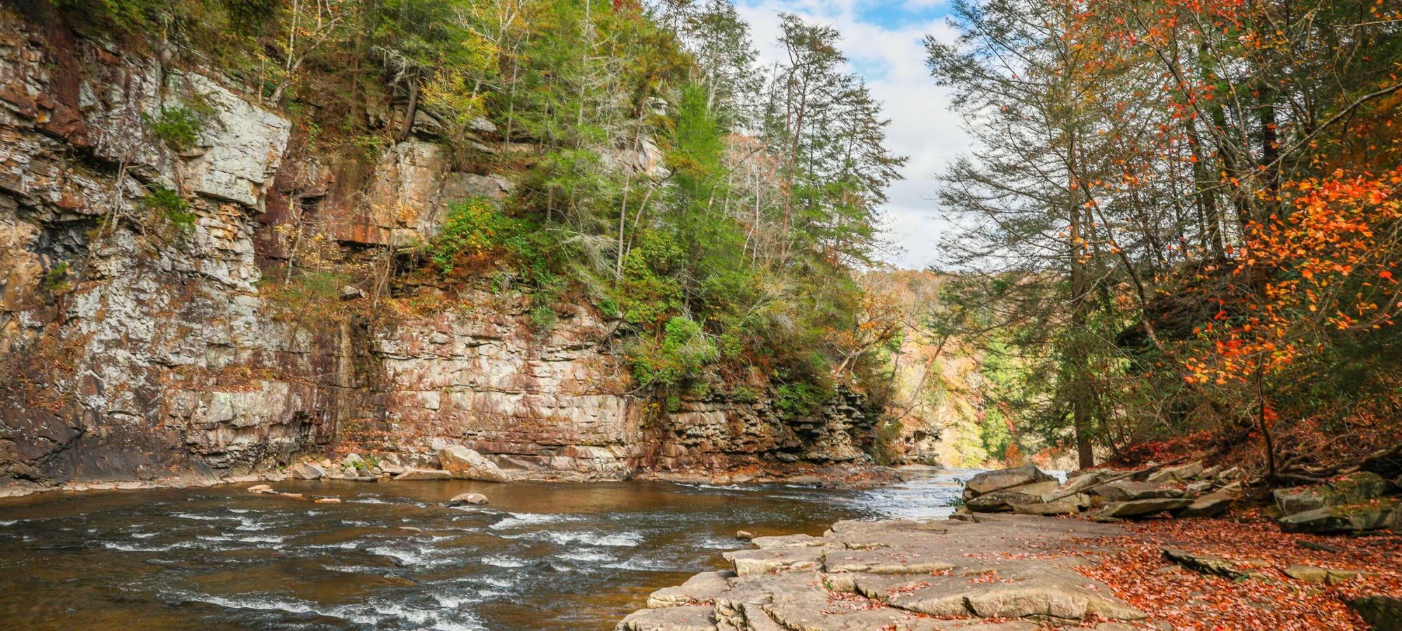 A flowing creek surrounded by some stone and trees in the fall.