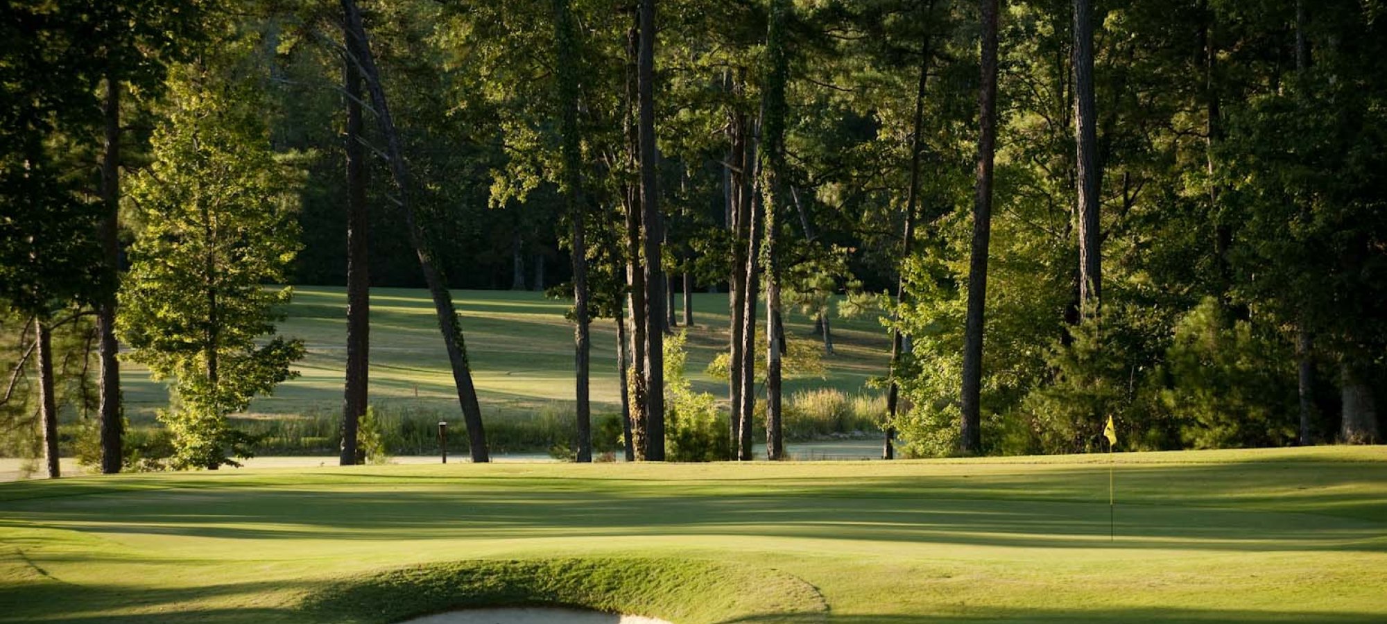 A lush green golf course with a sand trap lined by trees