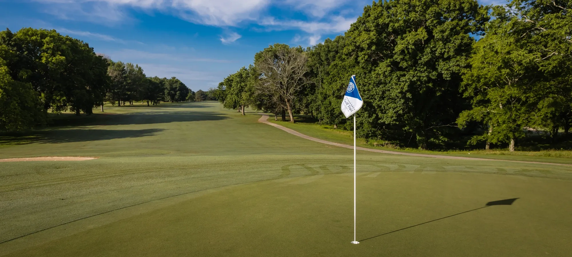 A golf course hole with a flag surrounded by lush green trees
