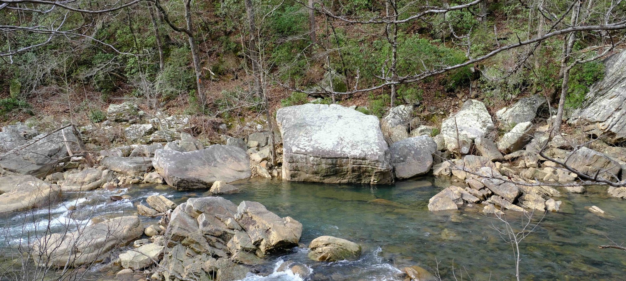 Rushing stream with large rocks and bare trees in a forest.
