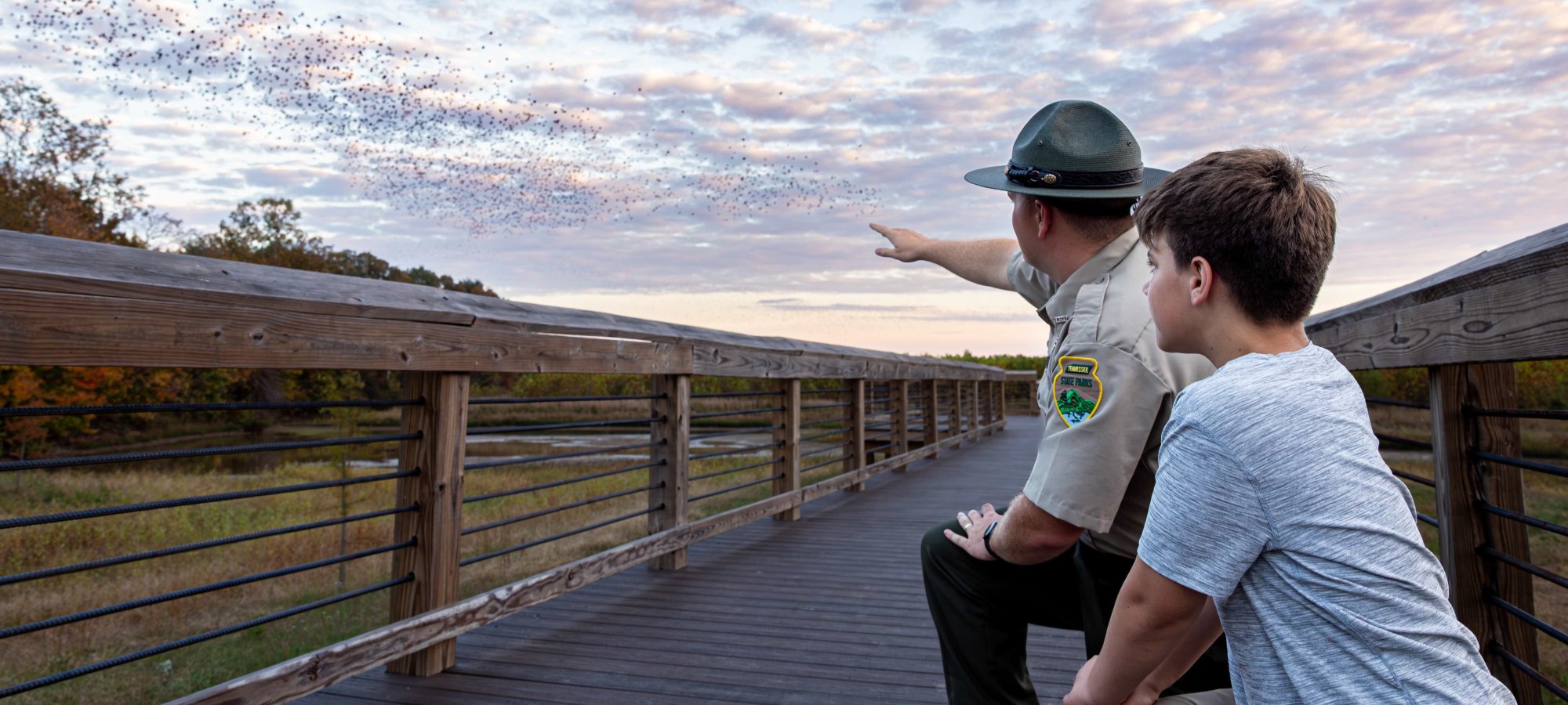 ranger with boy pointing at flock of birds