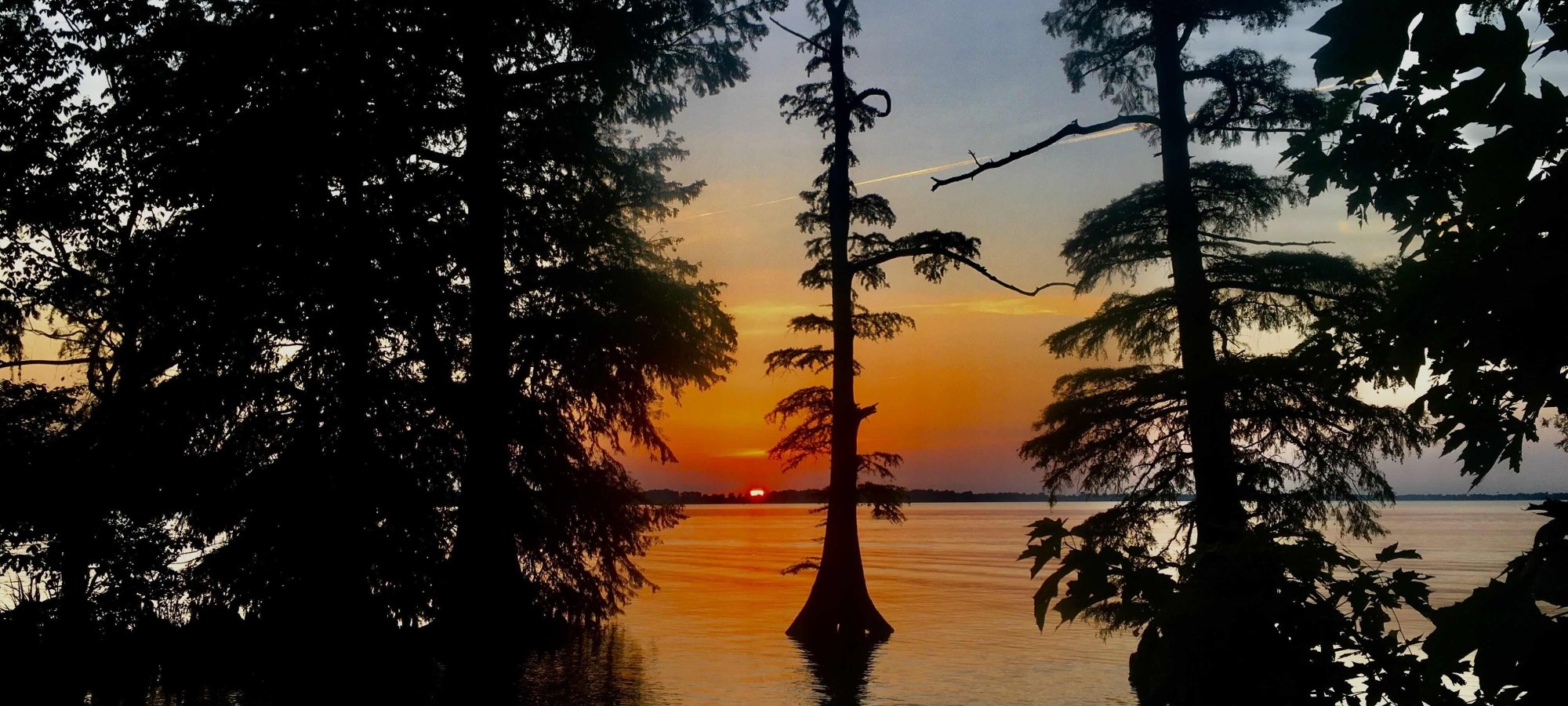 Sunset on the water with silhouette of trees.