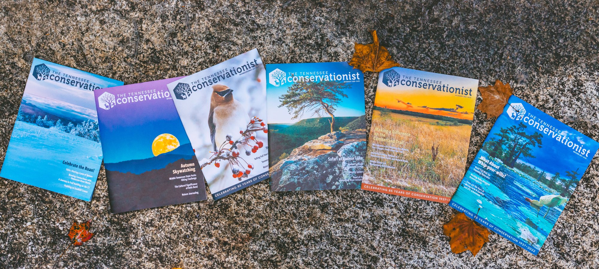 Six issues of The Tennessee Conservationist magazine spread out on a rocky surface