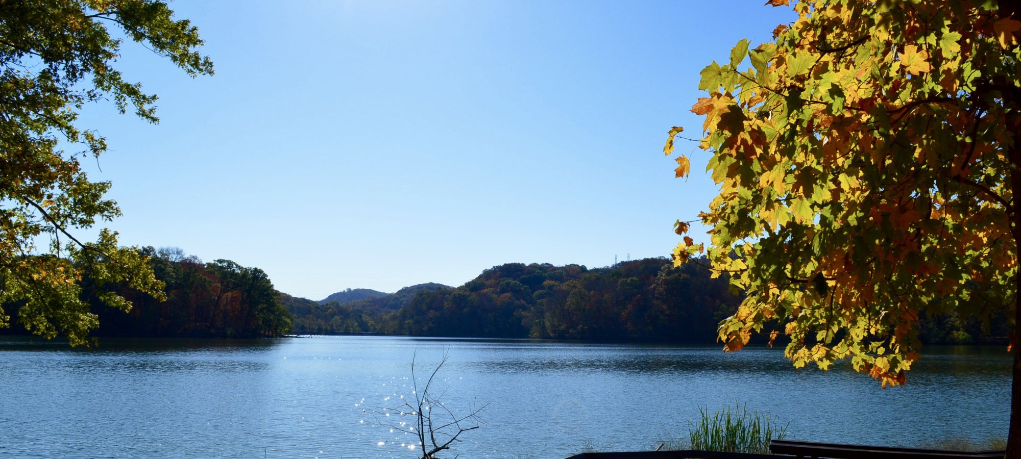 Early Fall Radnor