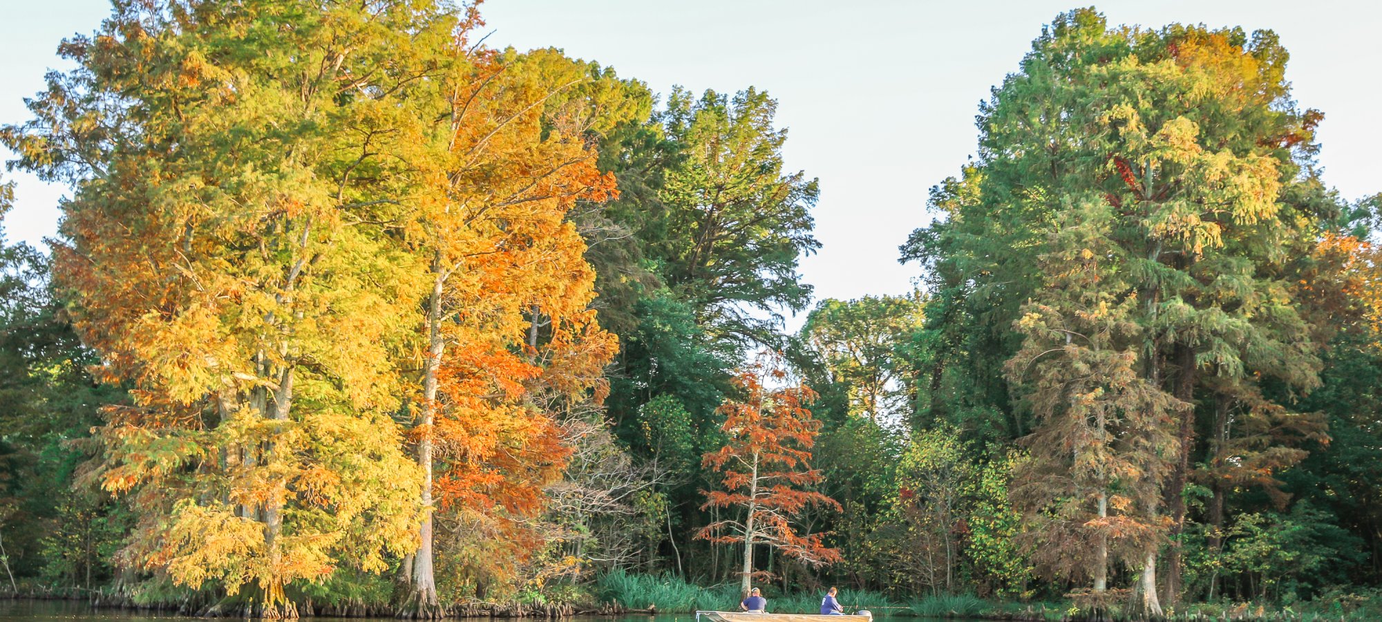 Reelfoot Lake