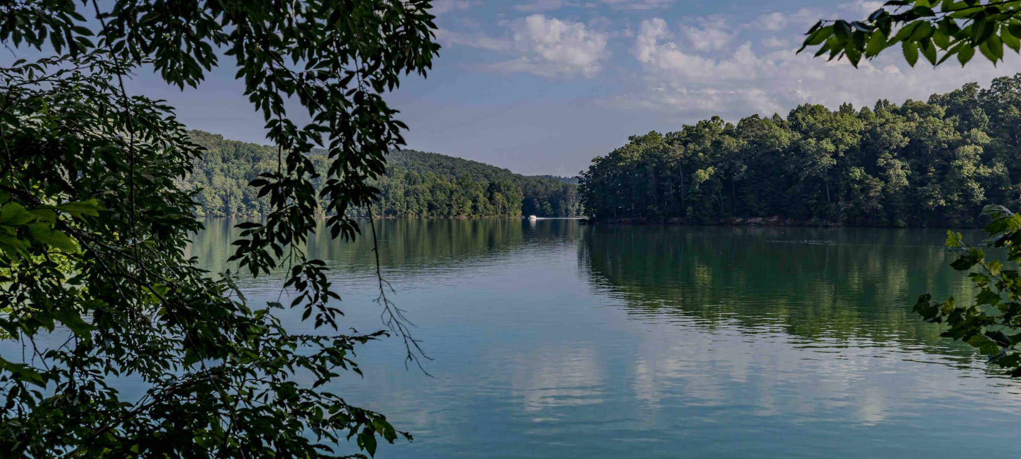Serene lake view framed by lush green foliage.