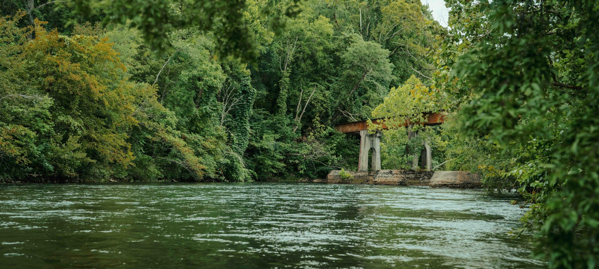 River flowing through a lush forest with an old train bridge overhead.