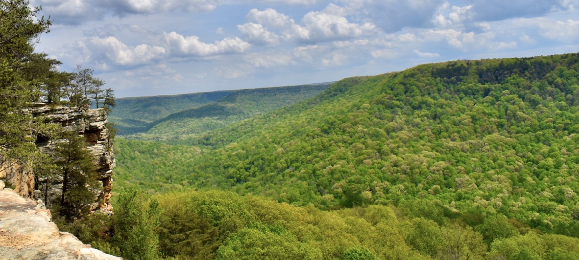 Savage Gulf