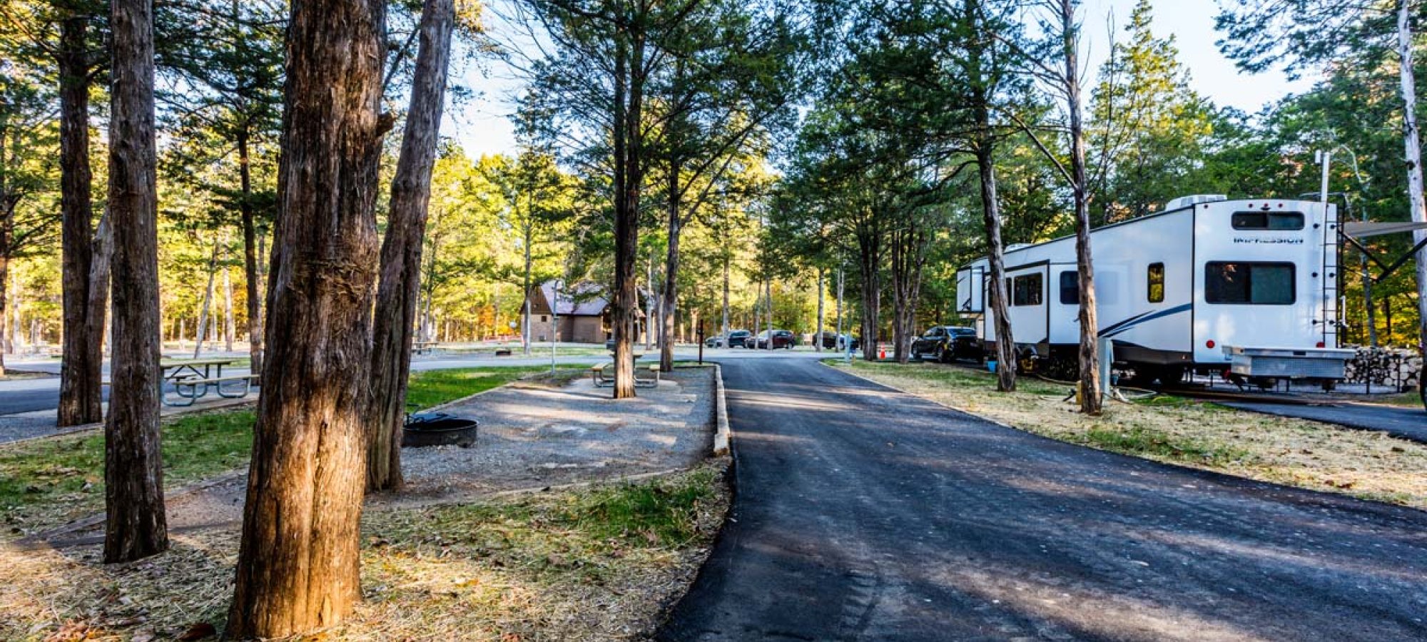 RVs parked along a tree-lined road in a sunny forest campground.