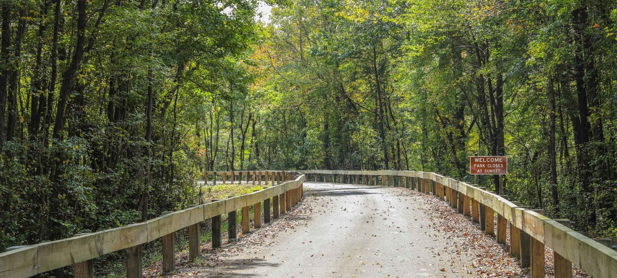Sunlit forest road with a wooden bridge and autumn leaves.