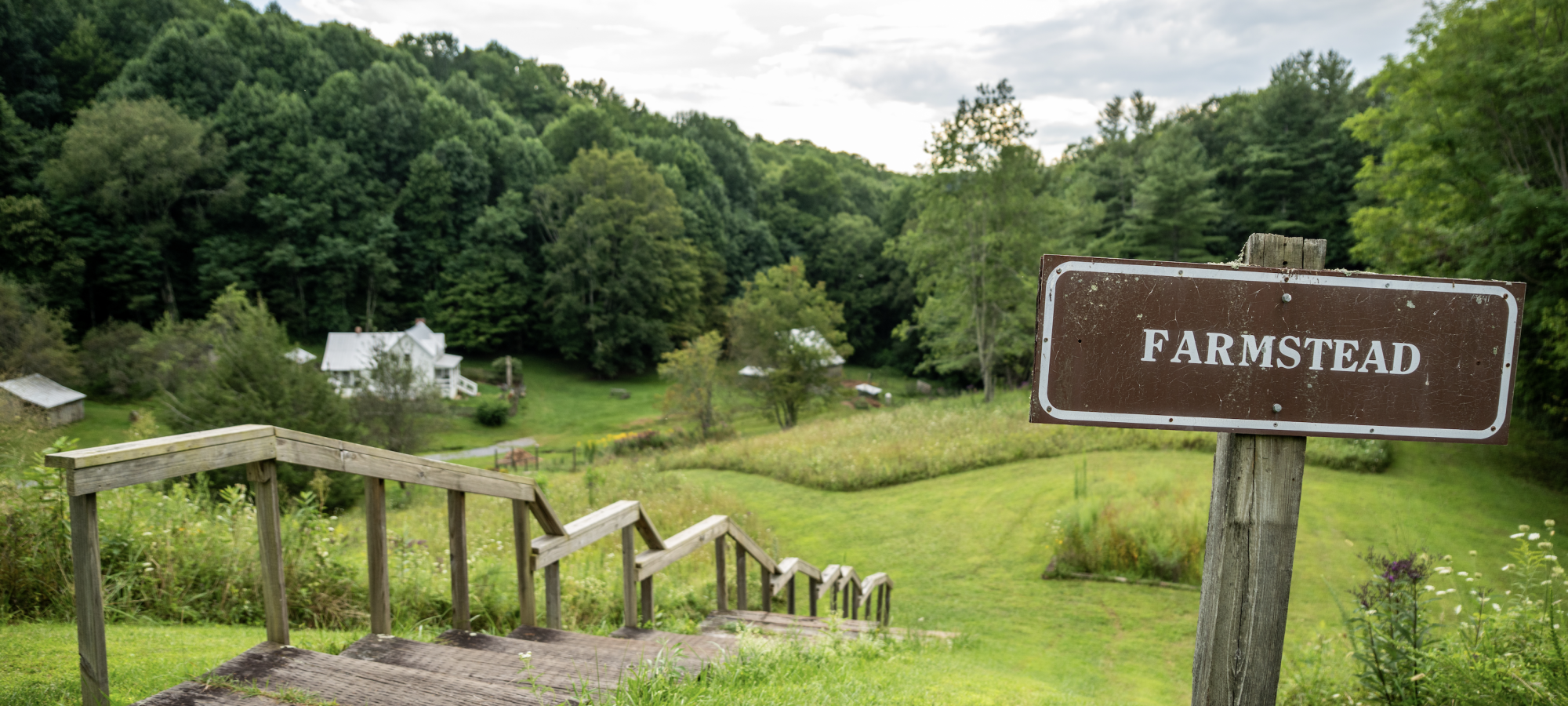 Roan Mountain Farmstead