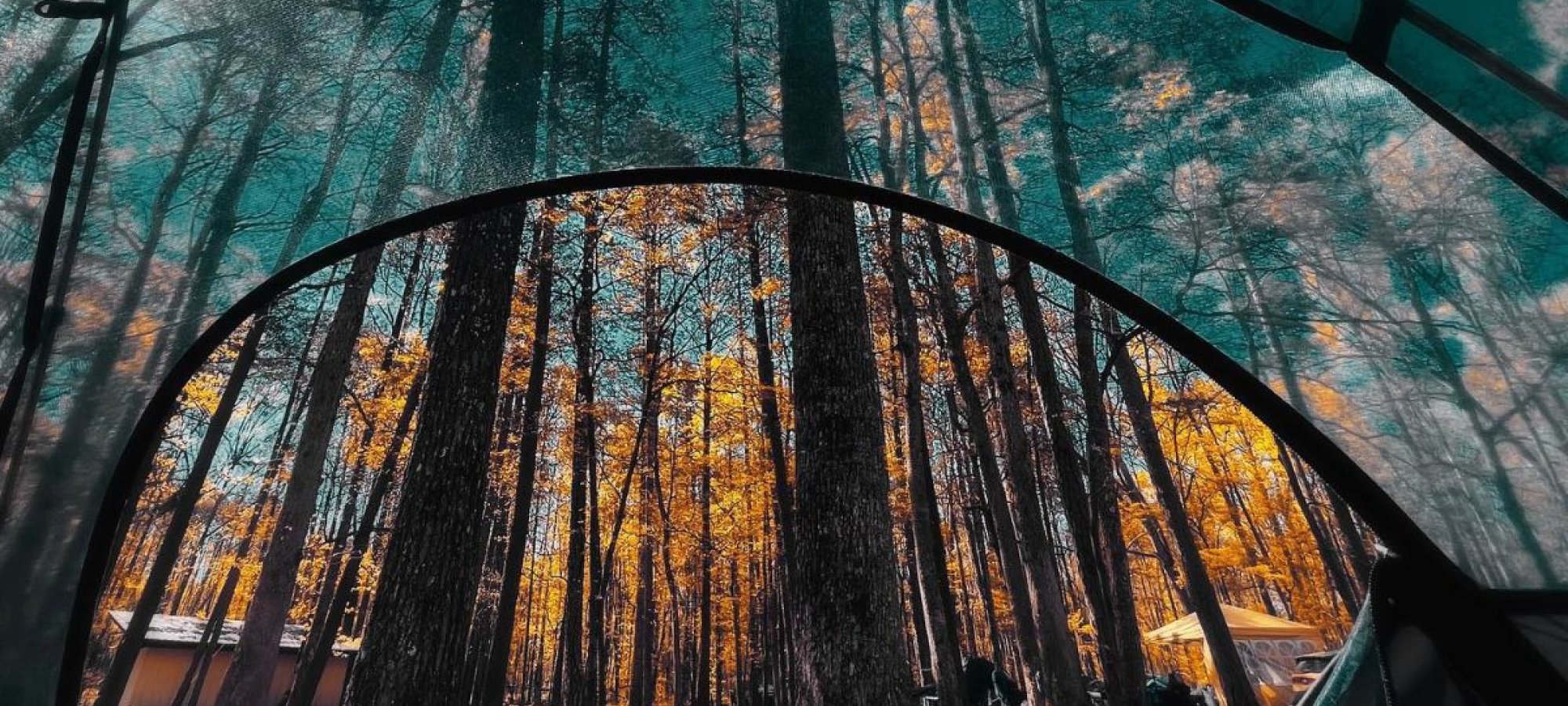 credit_@shawnlc_on_instagram_-_south_cumberland_state_park.jpg