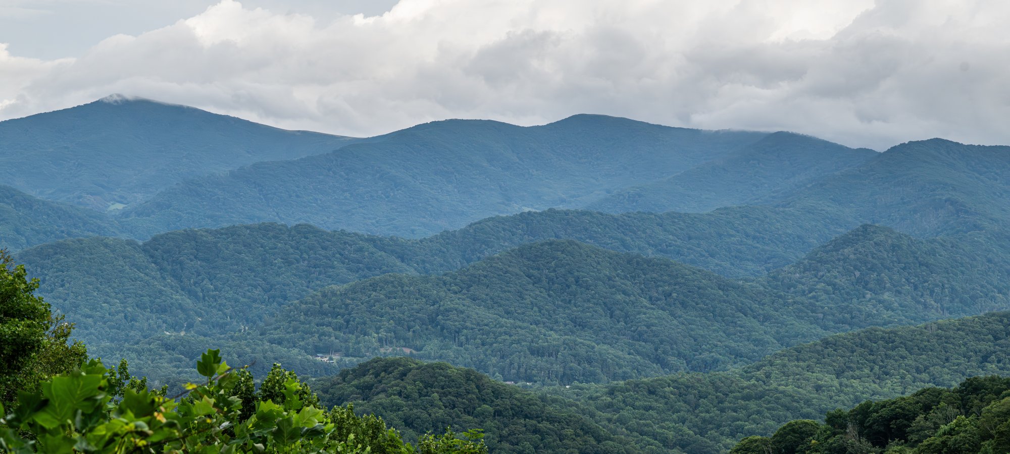 Layered mountain ridges covered in dense green forest stretch into the distance under a cloudy sky, with leafy branches in the foreground.