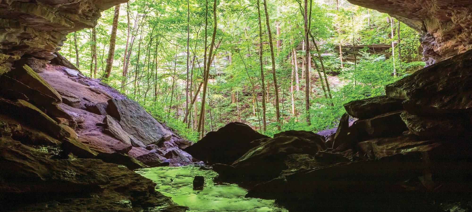 View from inside a large cave opening looking out onto a lush green forest, with rocks and a shallow stream in the foreground and sunlight illuminating the trees beyond.