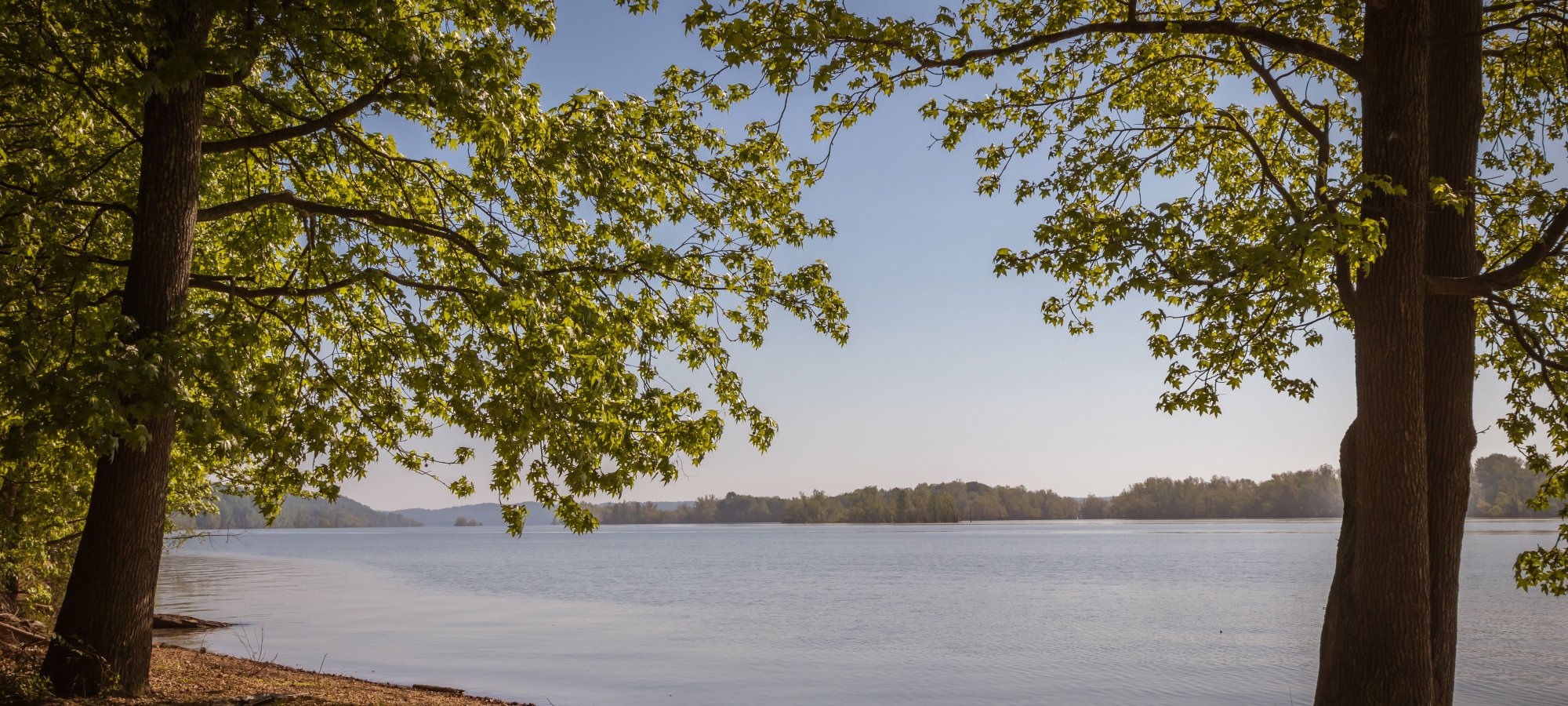 Calm lake shore framed by trees under a clear blue sky.
