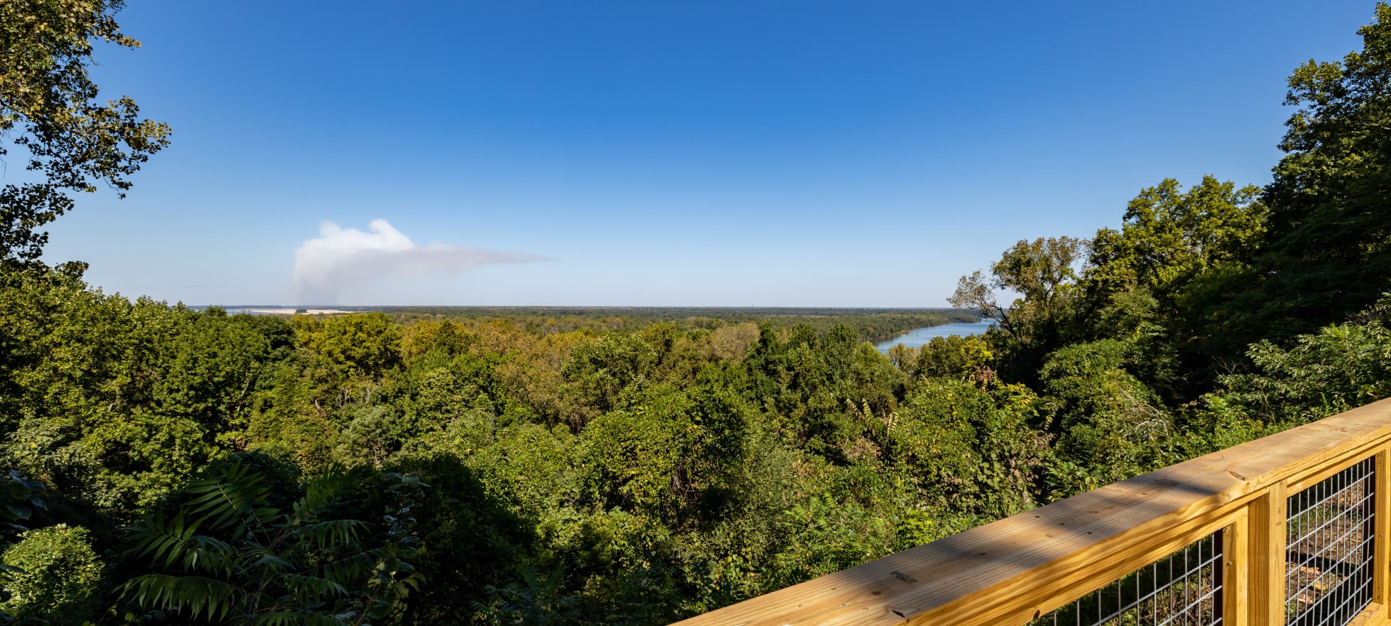 Wooden railing overlooking lush green forest under clear blue sky.