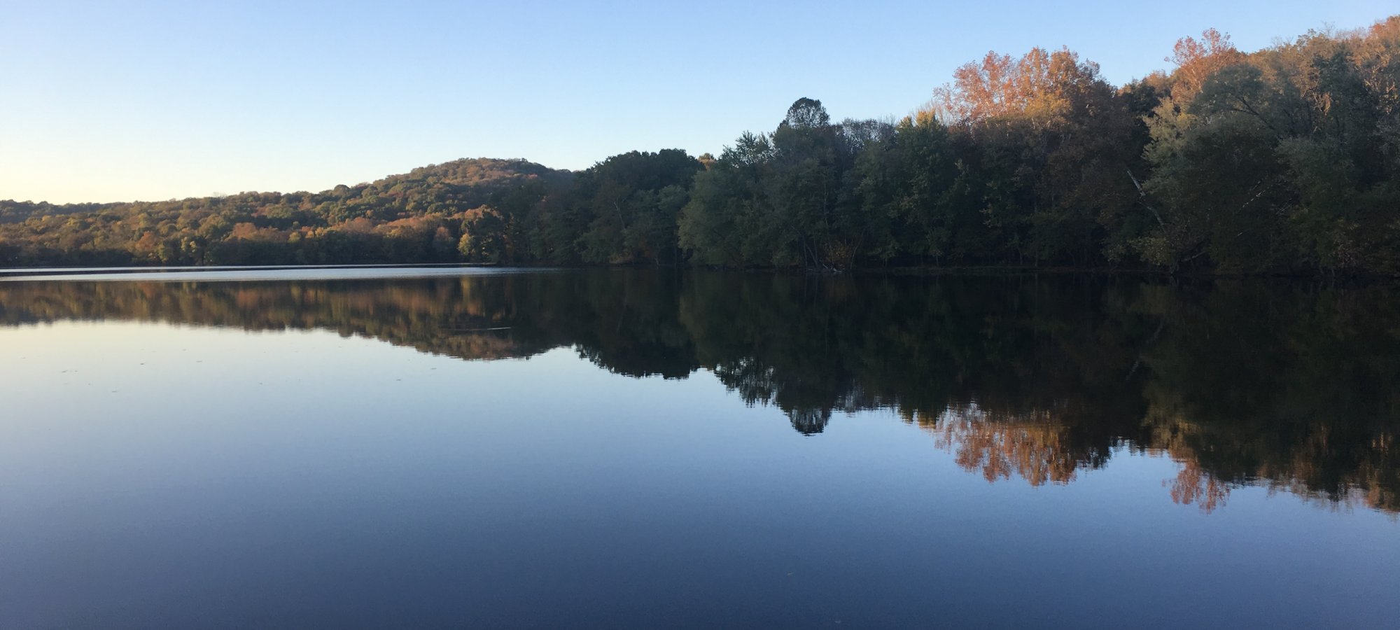 Calm lake reflecting trees and a clear blue sky.
