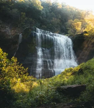Waterfall surrounded by lush green foliage under soft sunlight.