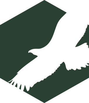 Illustration of a silhouette of a large bird flying within a green hexagon