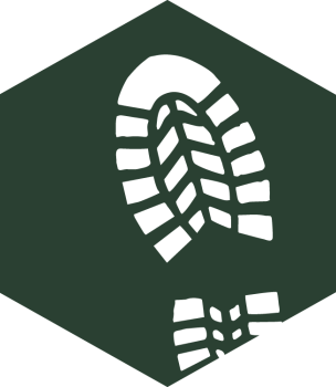 Illustration of a silhouette of a shoe foot print within a green hexagon