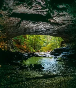 View from inside a dark cave looking out at a lush, green forest and stream.