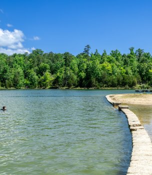 Calm lake with trees, a swimmer, and a stone path under a clear blue sky.