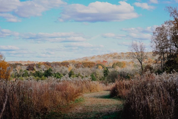 Path through autumn fields under a blue sky with clouds.