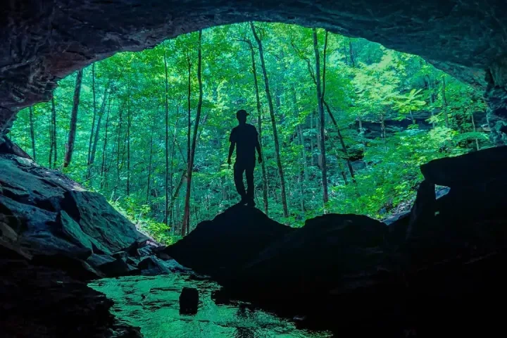 Silhouette of person in cave entrance with forest outside.